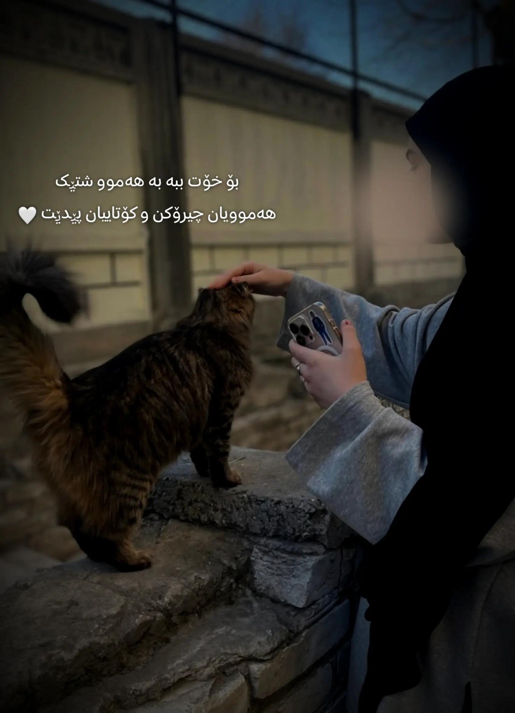 @تیـانـا❤🐈