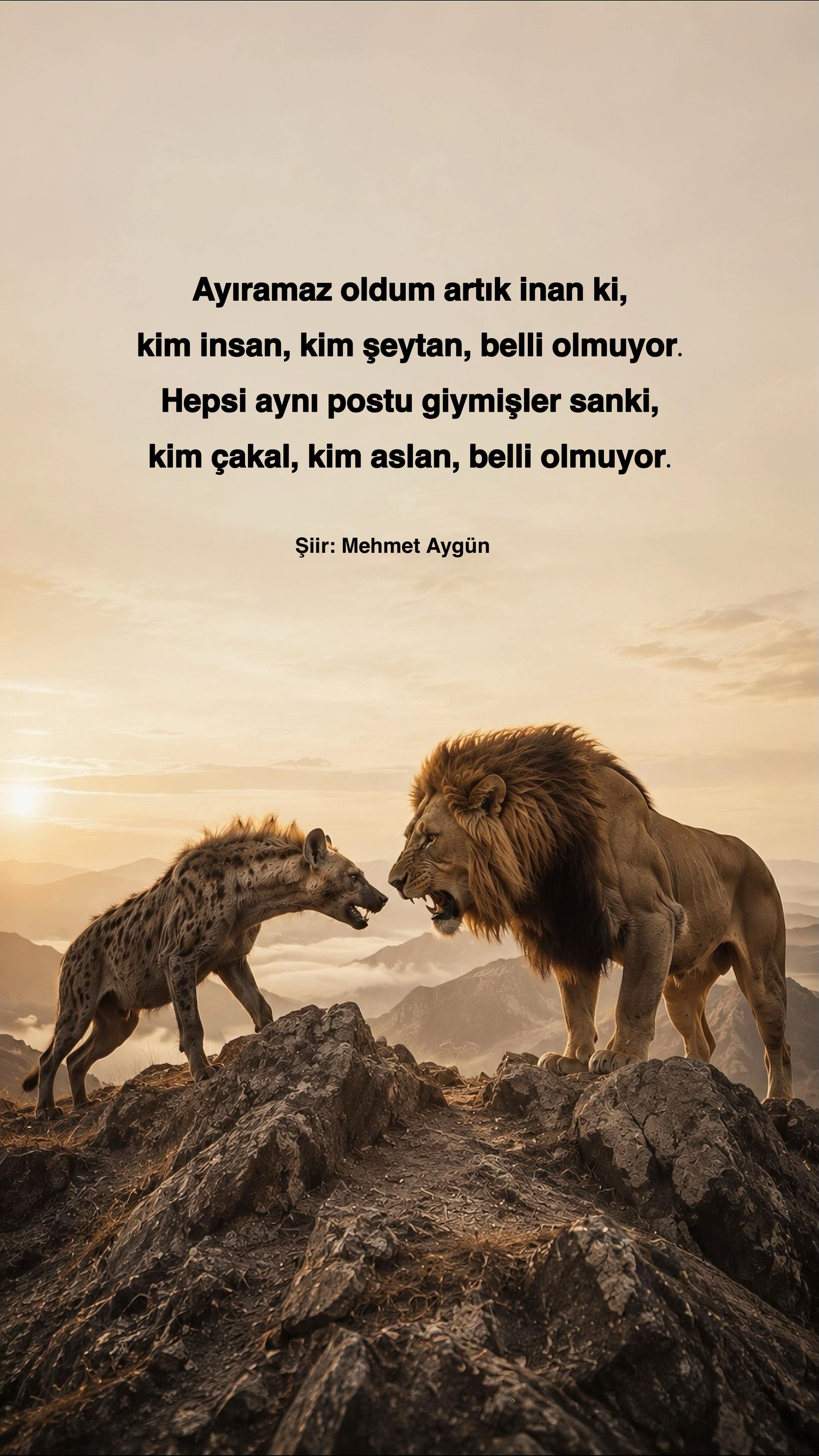 @Mehmet Aygün