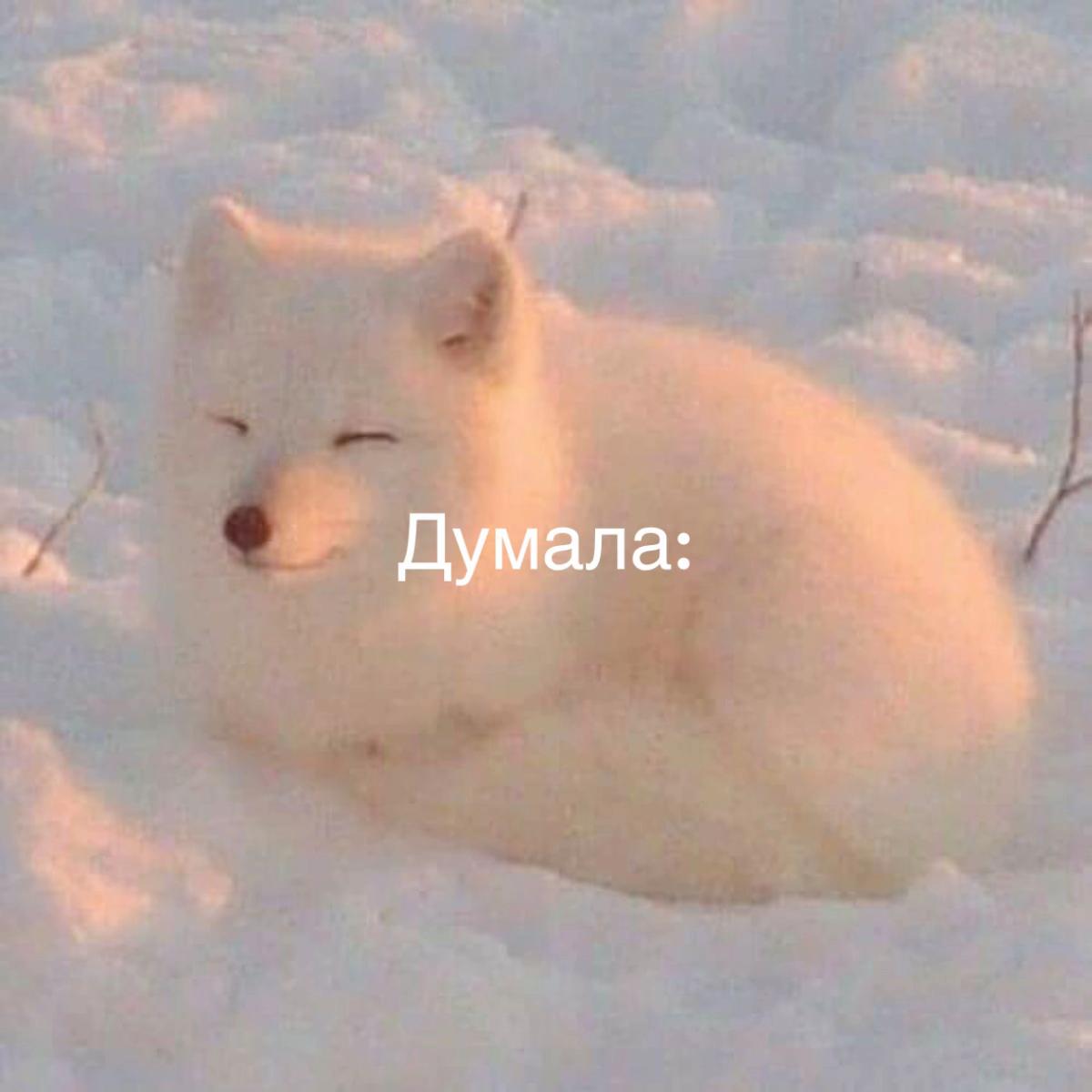 @◂ ⚝ Ṫ∍ợ ☾αቆợ ⚝ ▸