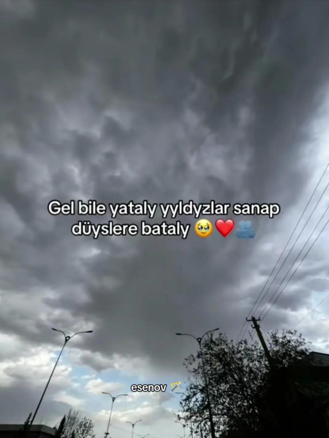 @esenov_B