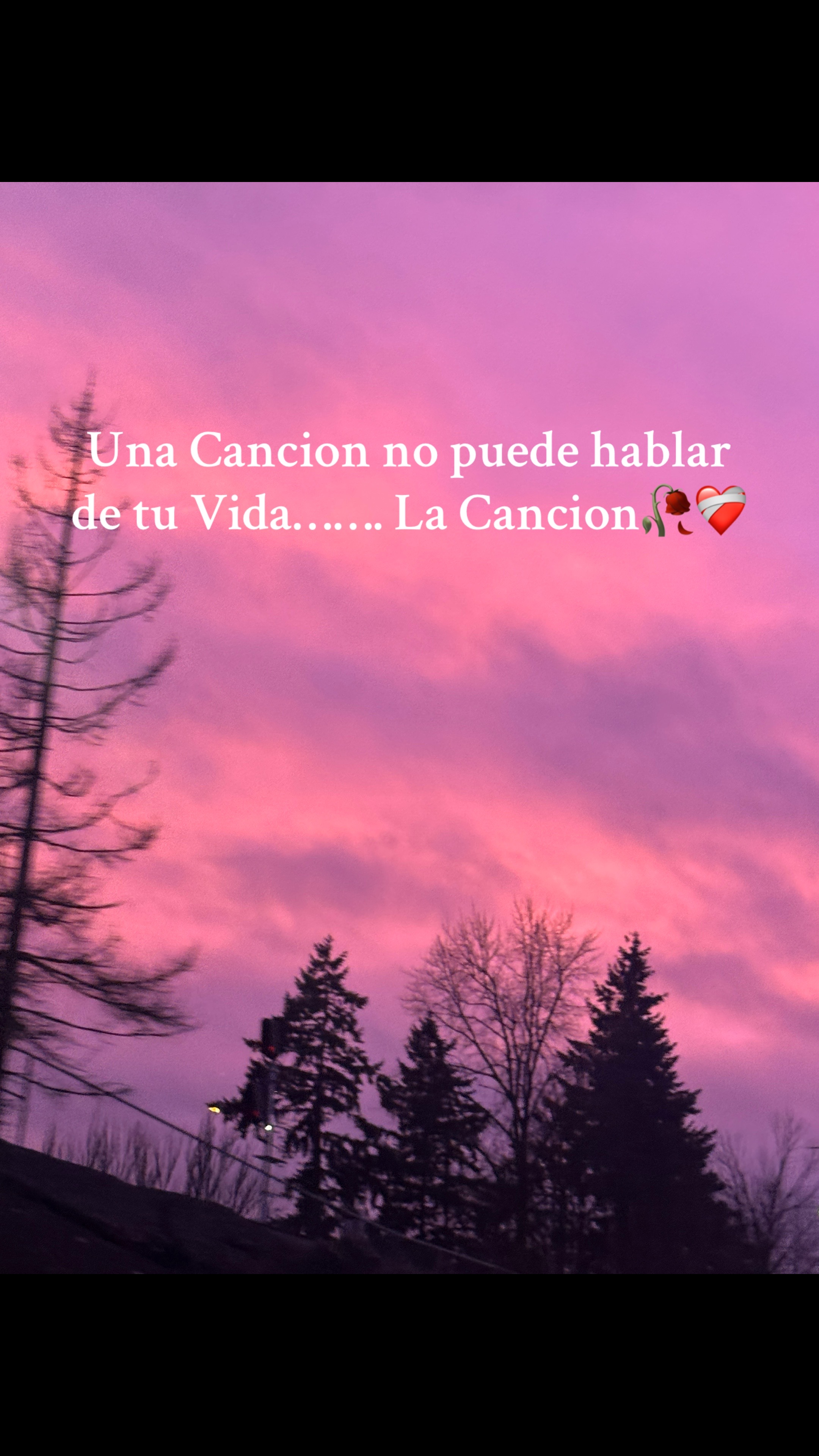 @Alicia Vasquez