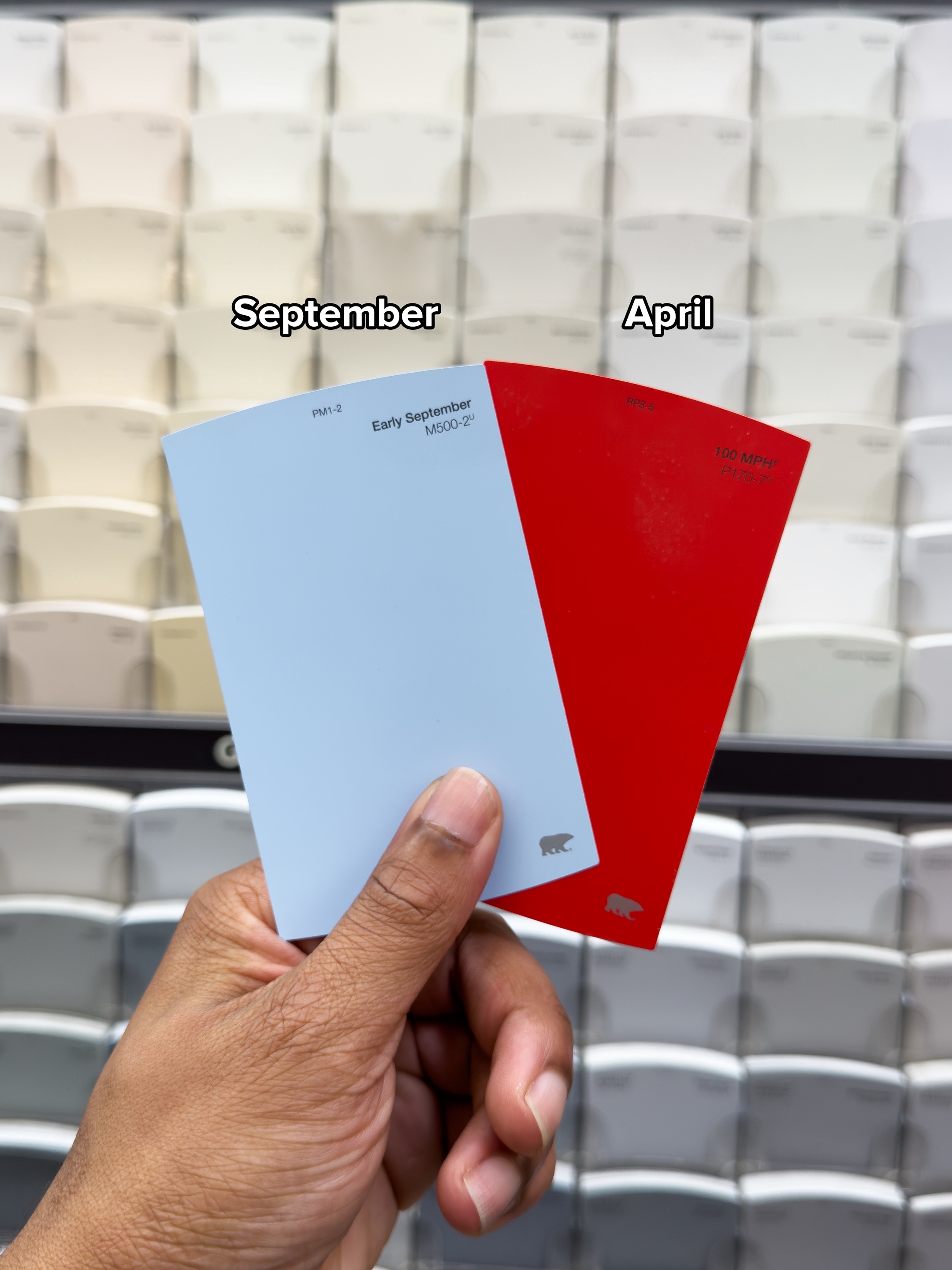 @BEHR® Paint