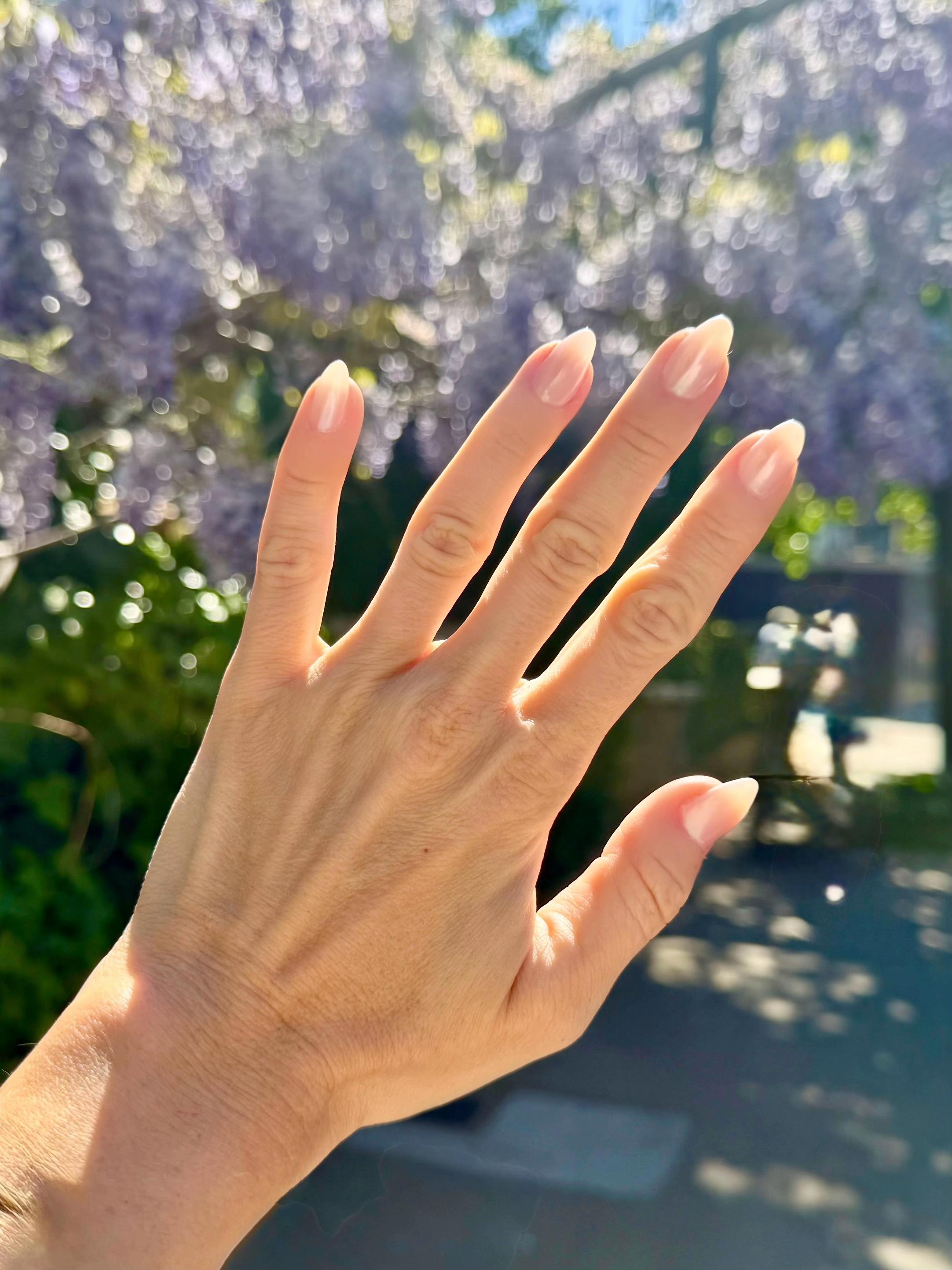 @camillarussonails