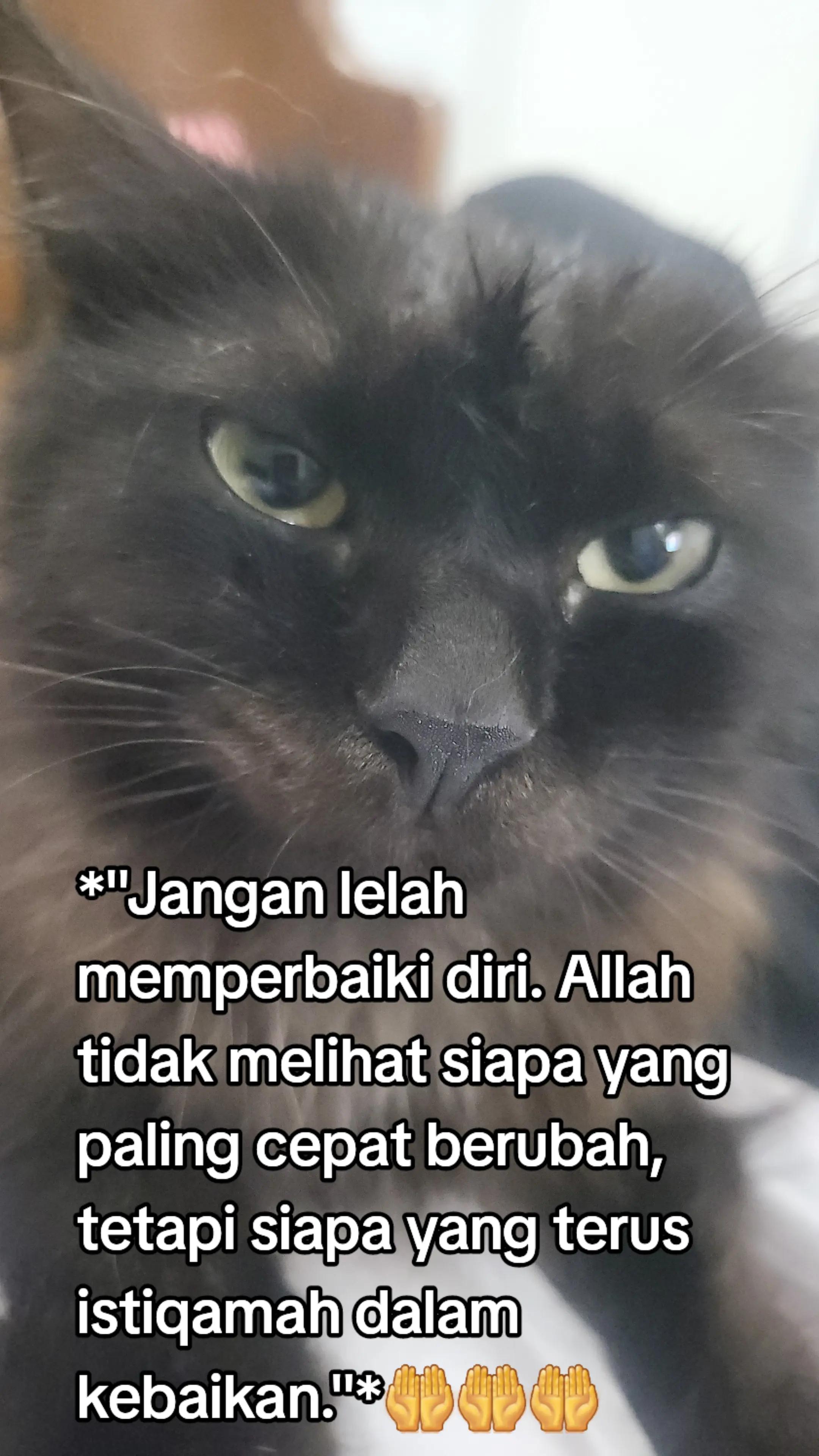 @EuisYNataSukarya