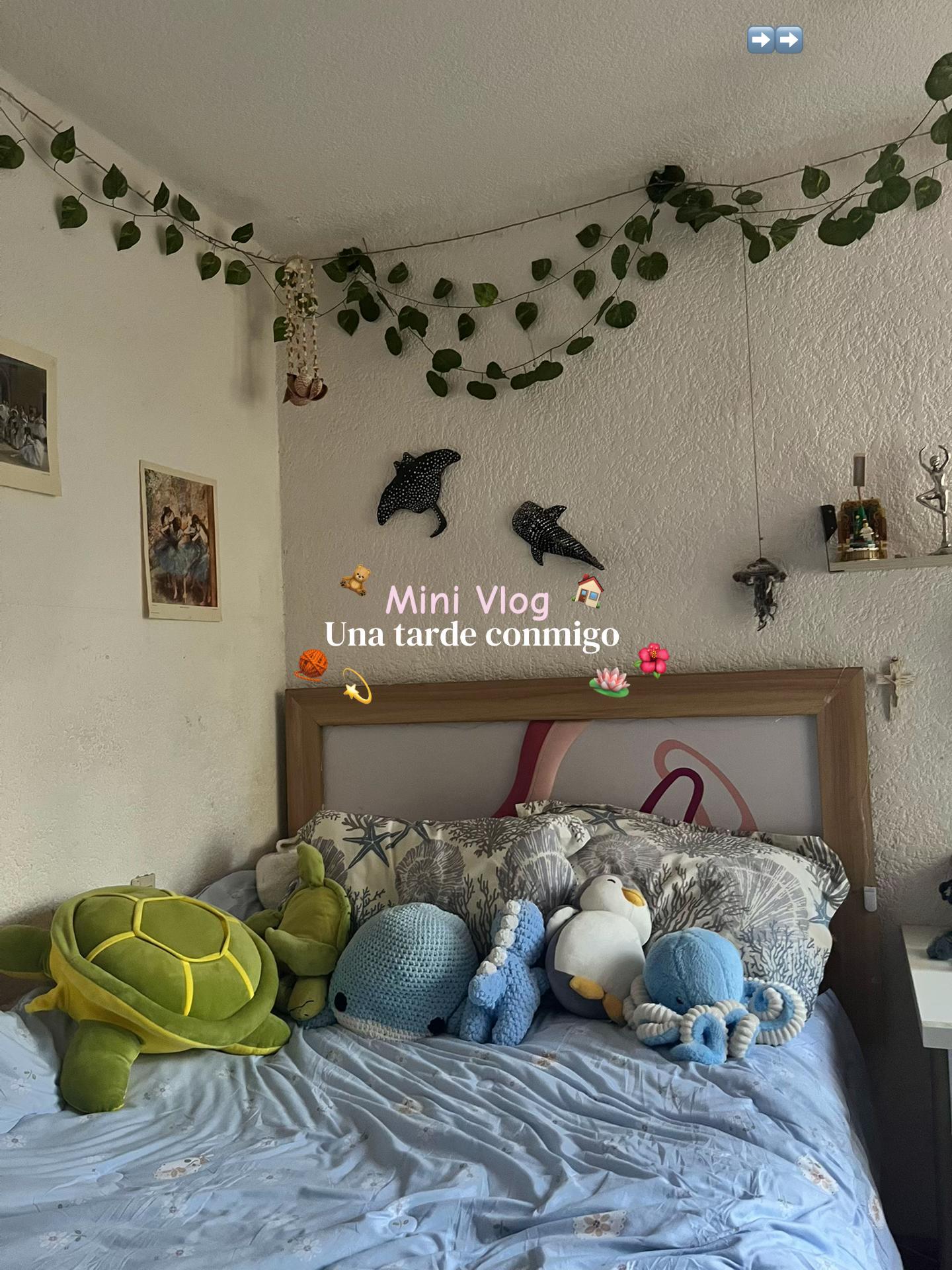 @Sairi🌺