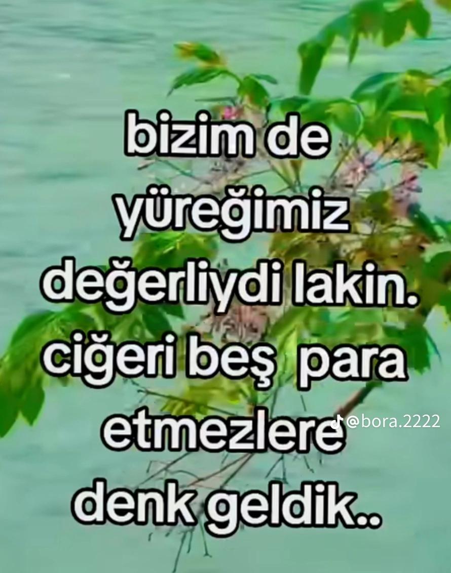 @81 D&uuml;zce
