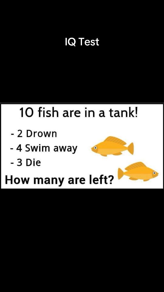 @Alex Olaiya