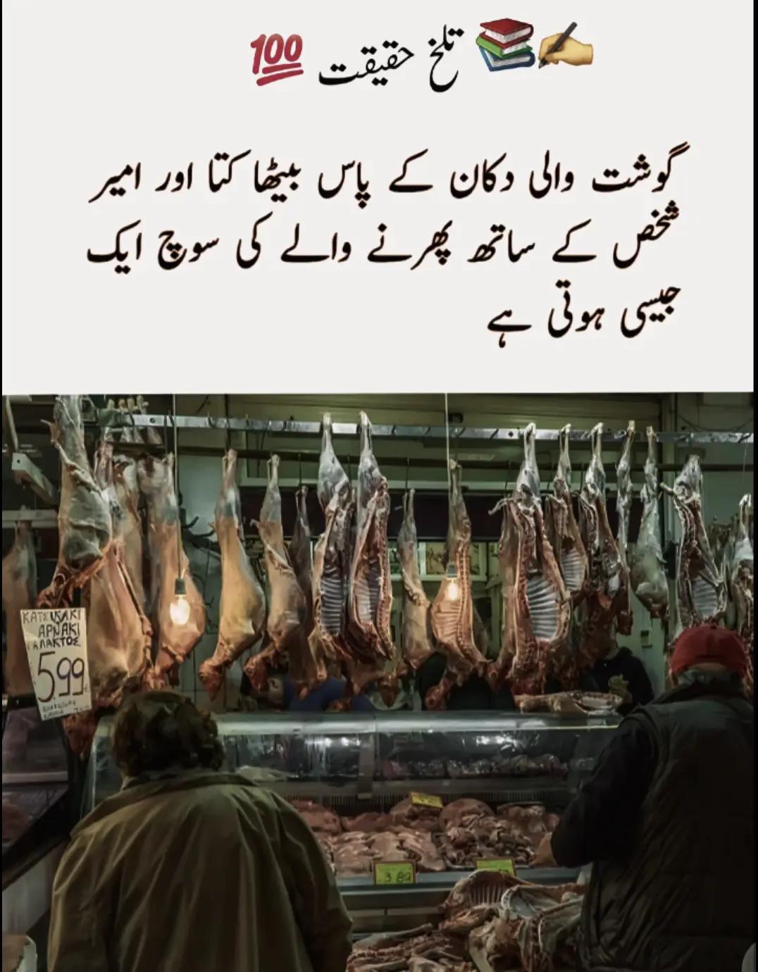 @Syed Fazal hashmi 🇵🇰 🇶🇦