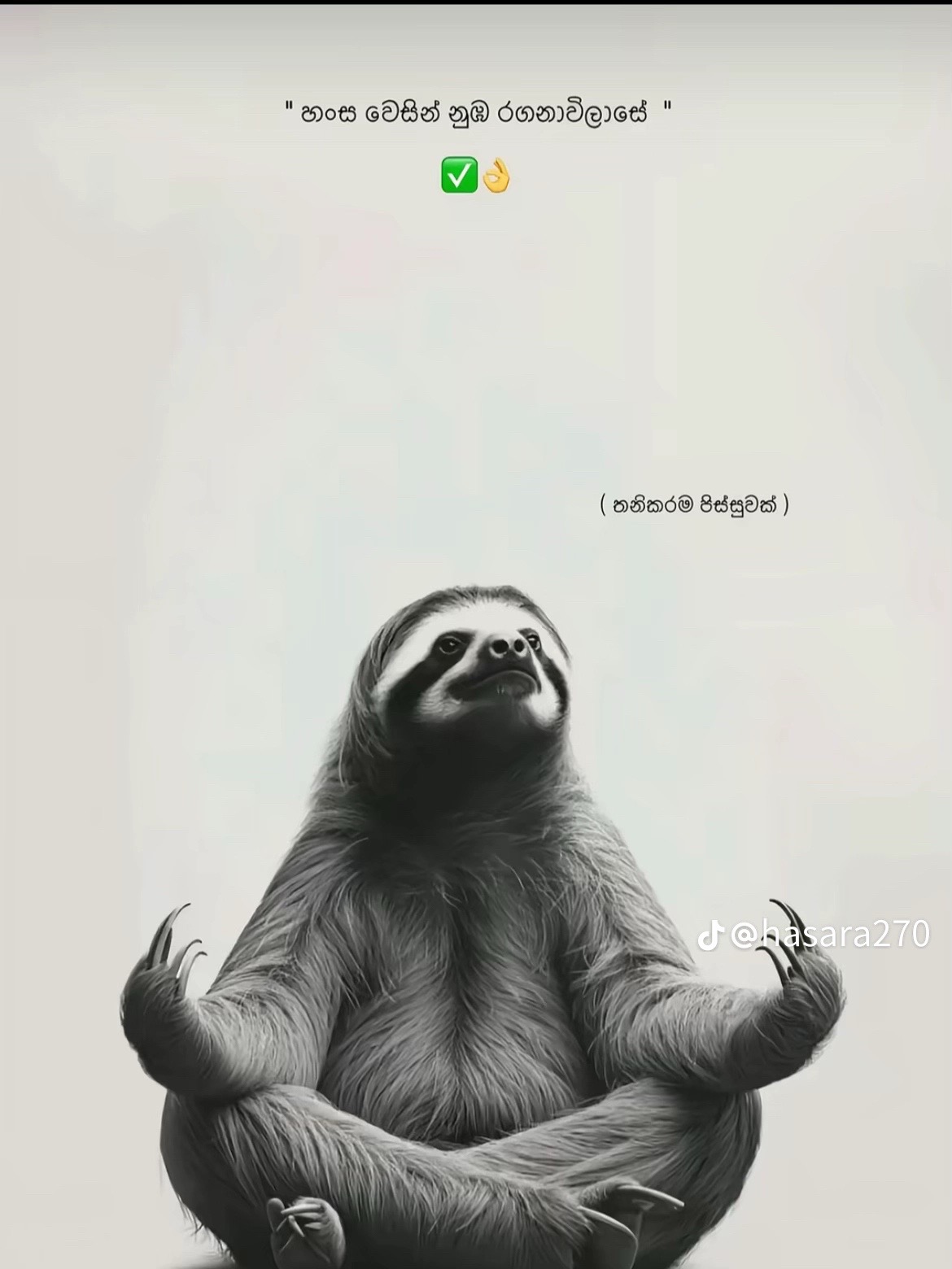 @anubbh_xx