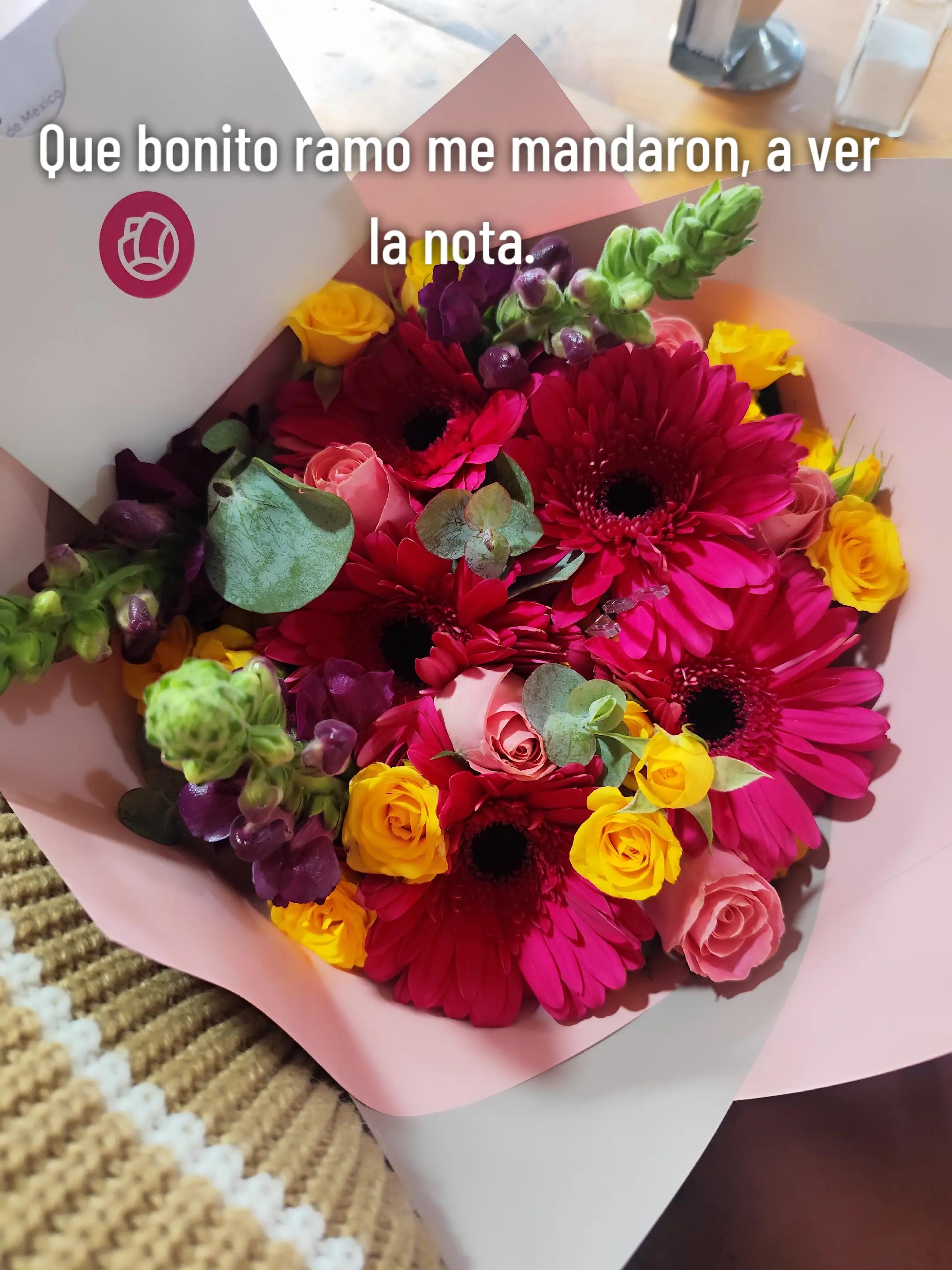 @Ekidu