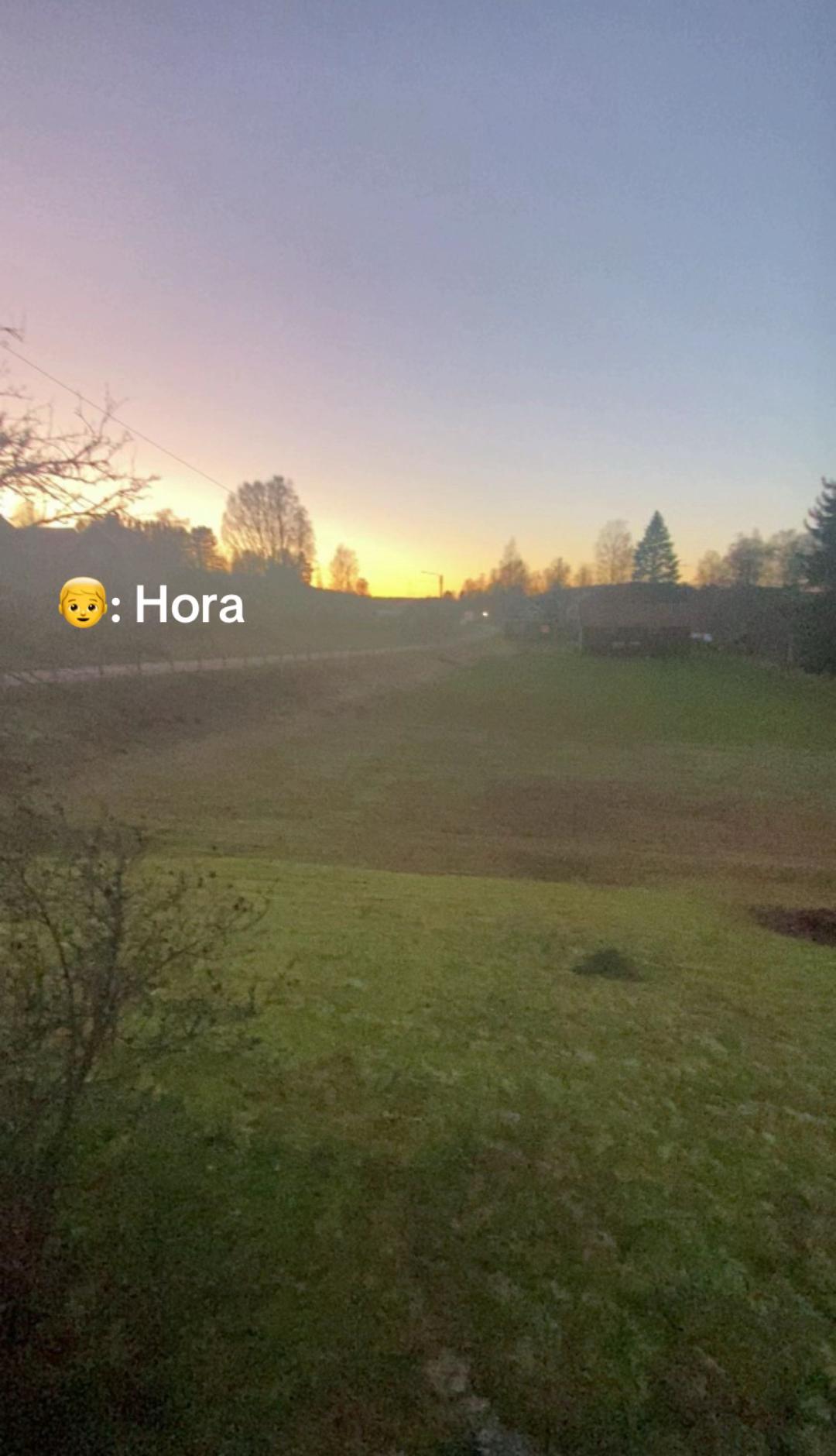 @Hejdo-234