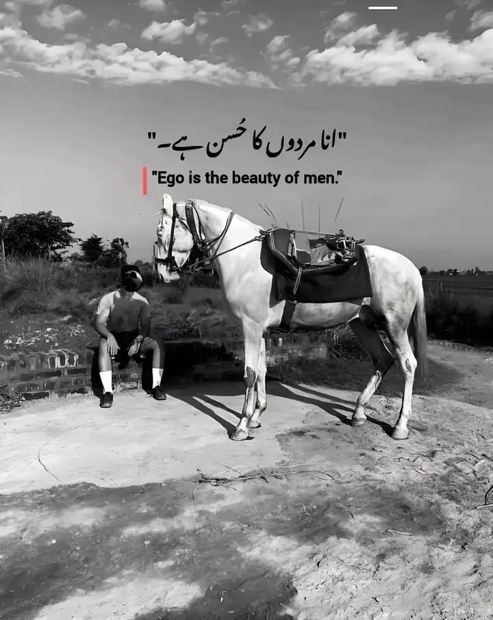 @...sAمEeR..👥🚩