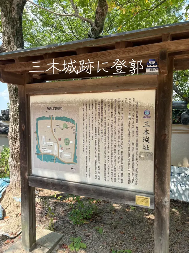 @達磨寅次郎