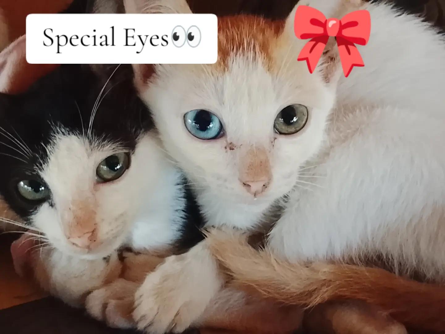 @Simplyme_♡