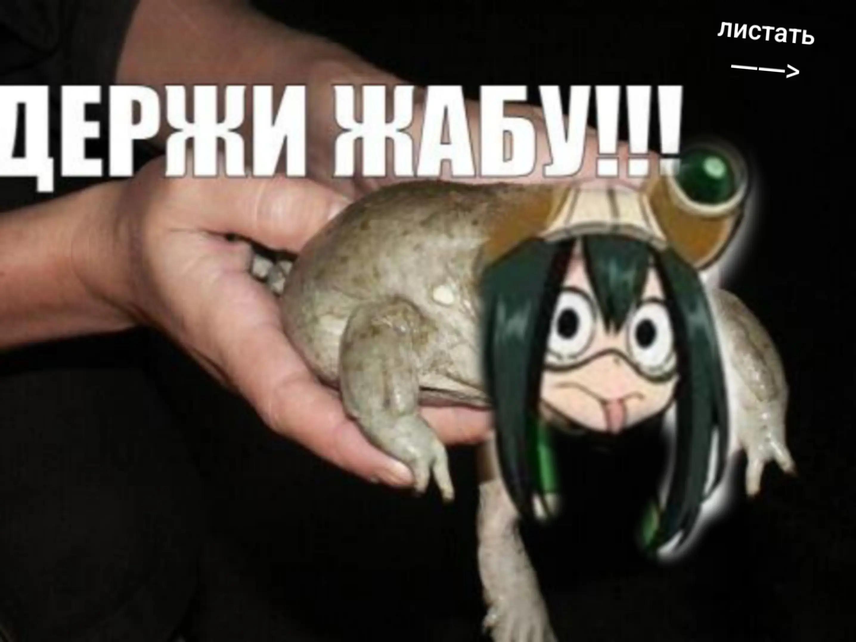 @Роса Мастак