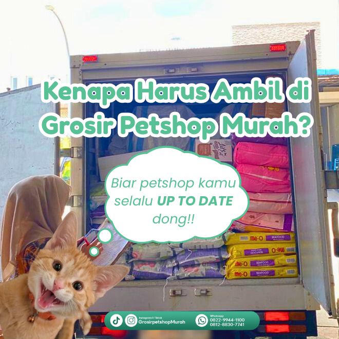 @Grosir Petshop Murah