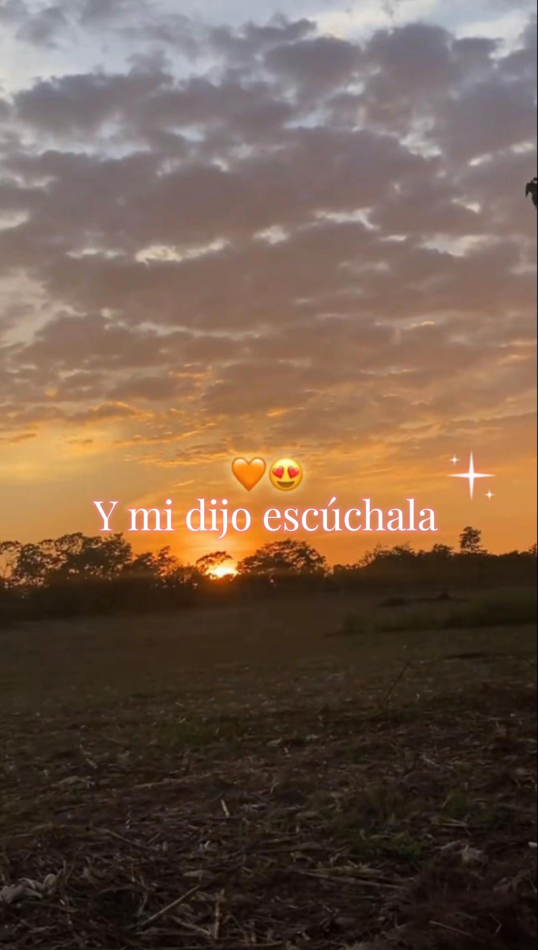 @Lizeth Bautista
