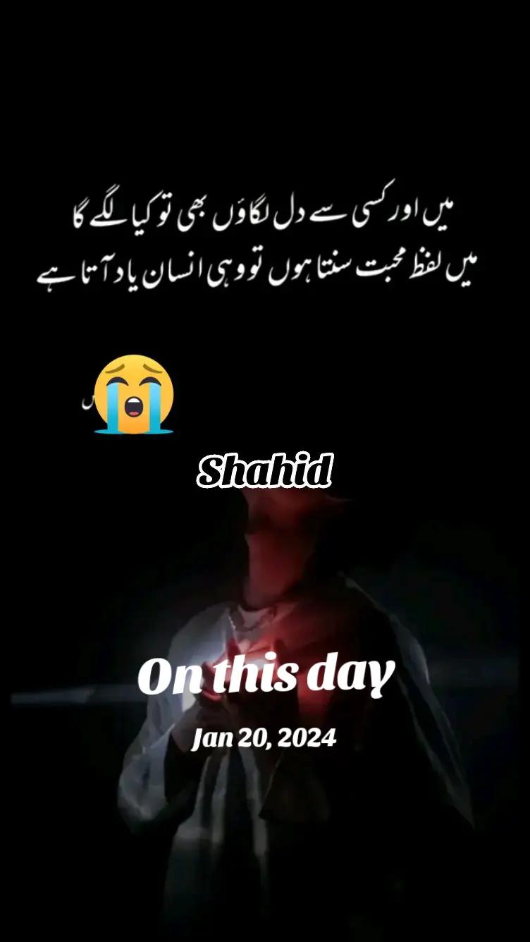 @Shahid Ch arain ❤🌹