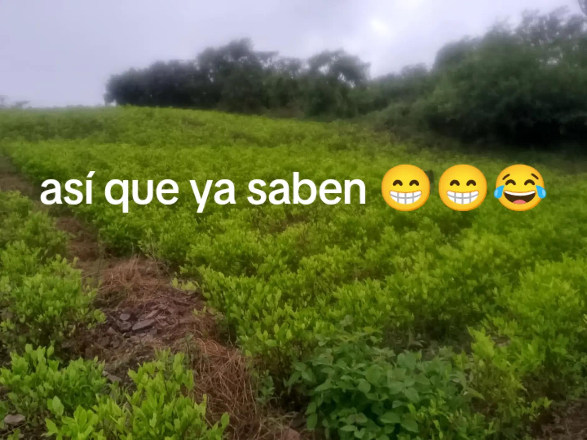 @lobo💖🌌🐺solitario 🫂🇧🇴🇧🇴