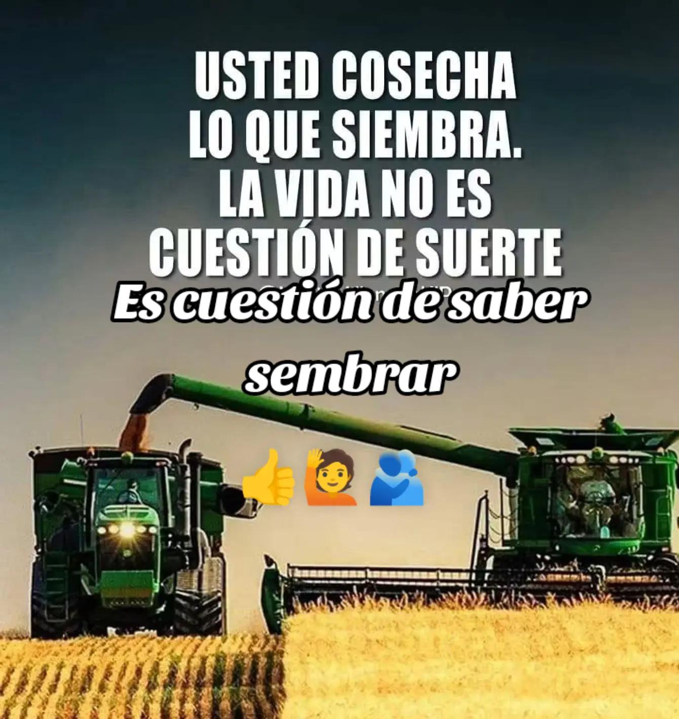 @Adriana 🌹. Te sigue