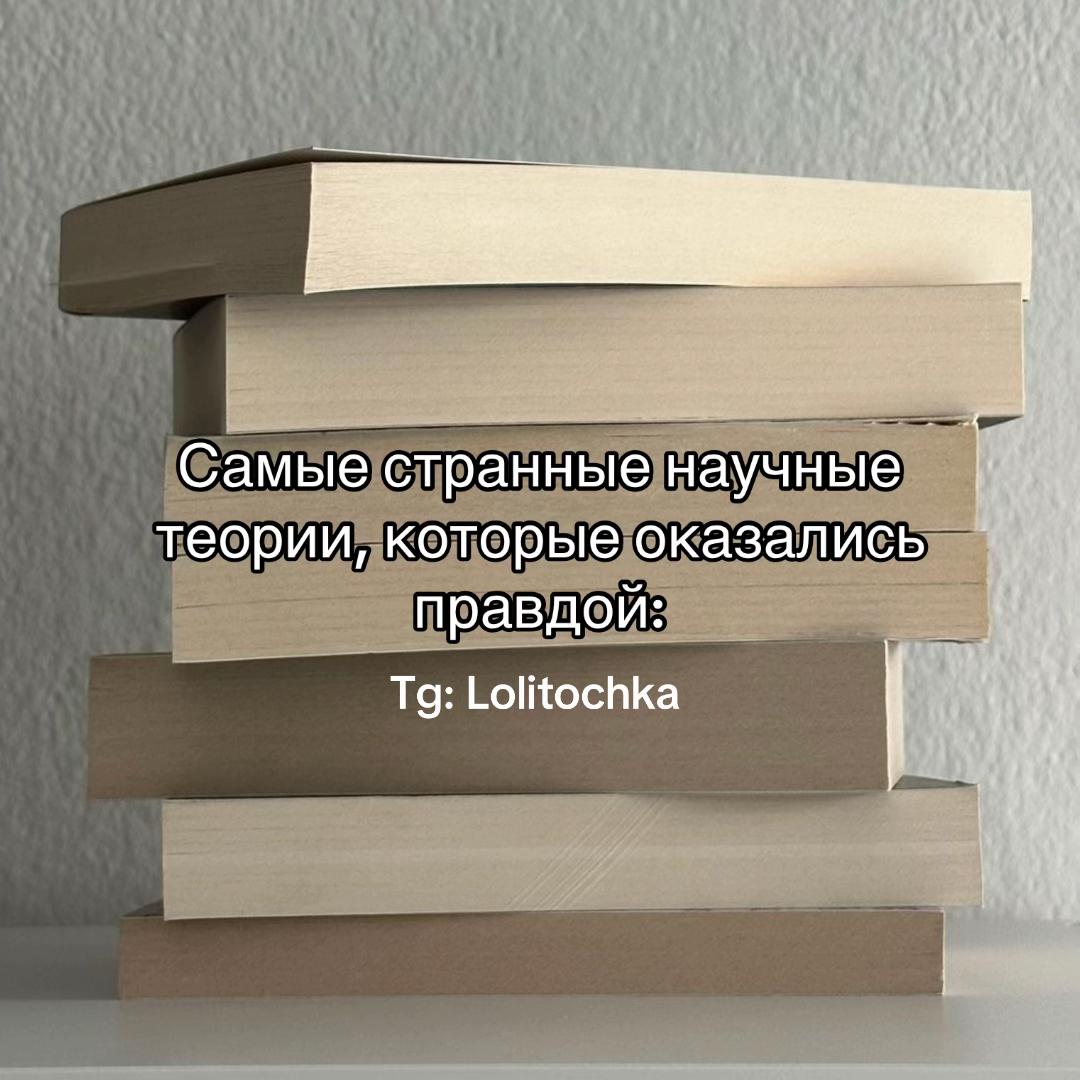 @lolitochka_0
