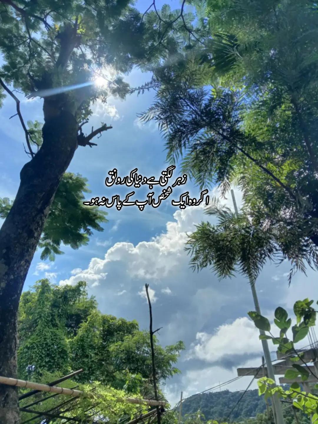@محمٌَد 🚩