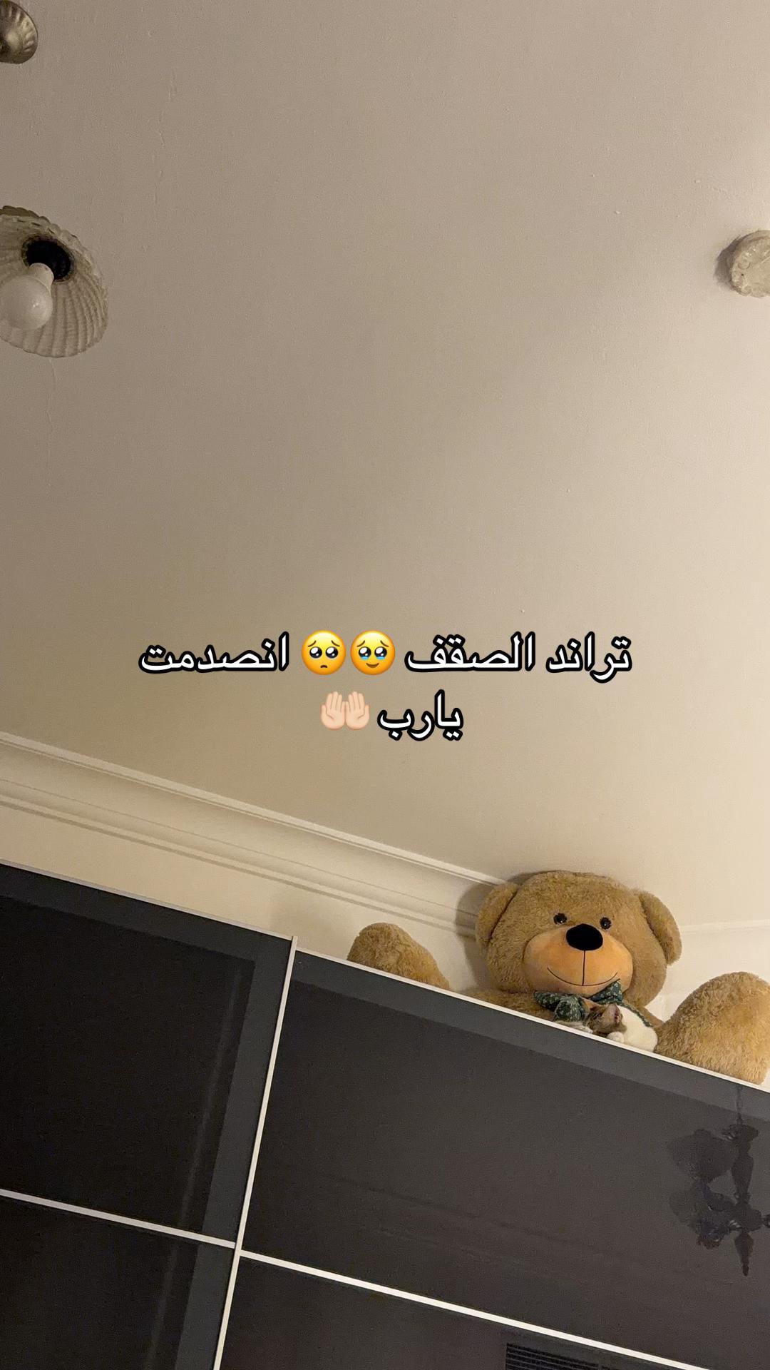 @𓆩✧𓆪 استثنائية 𓆩✧𓆪