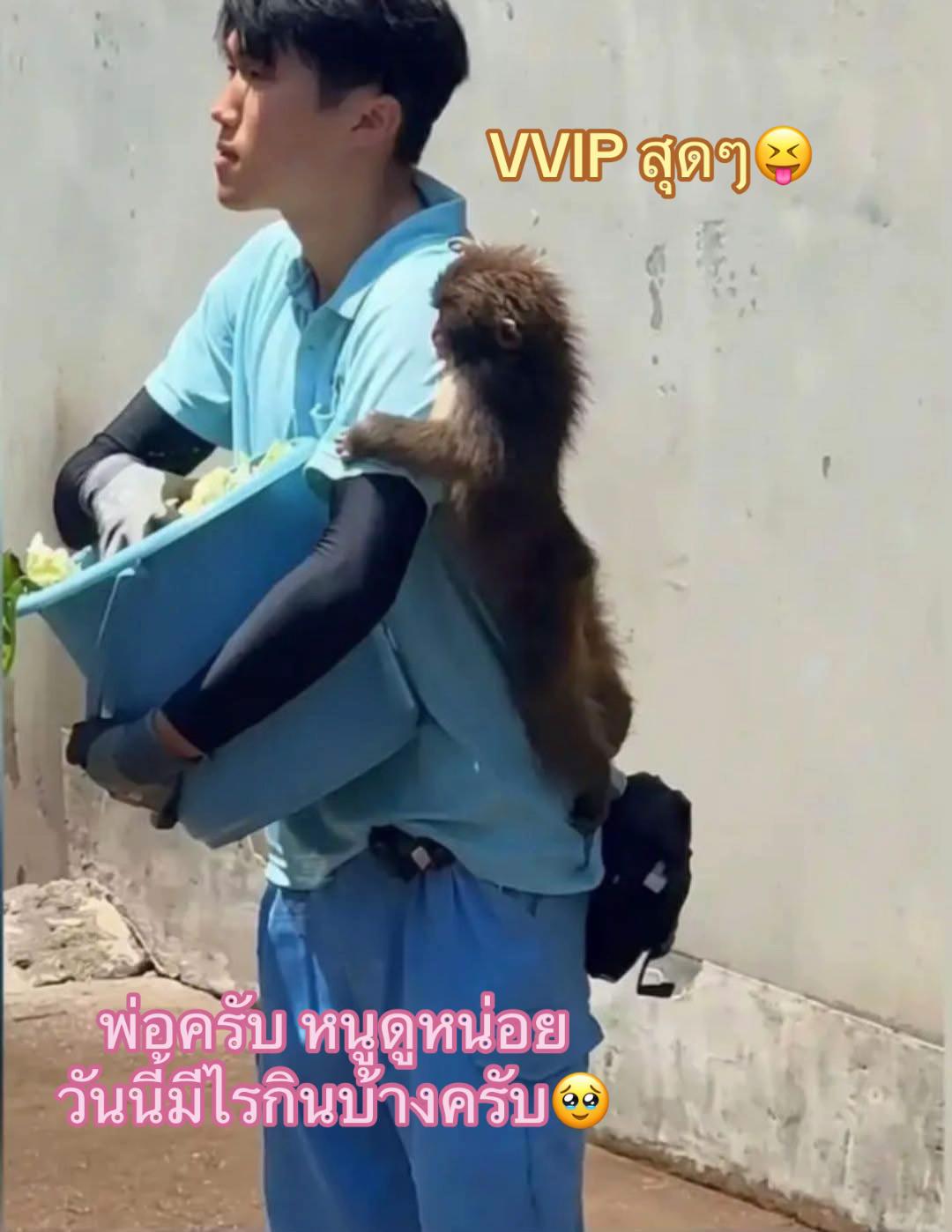 @mymint_teamwang