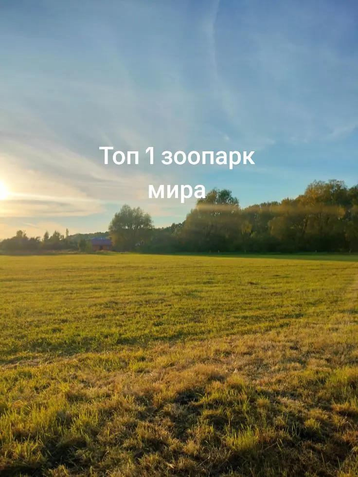 @коч ган
