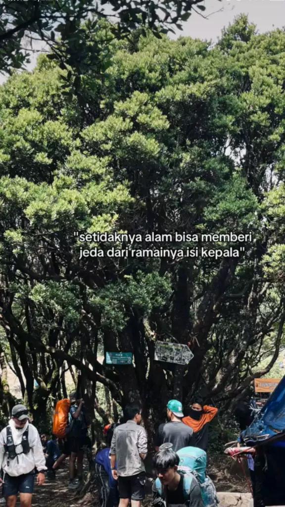 @Tn muda ndi gdby?