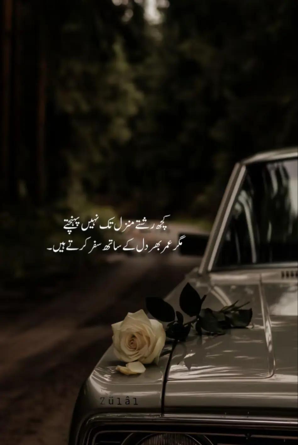 @👑🌎❤️SaKun--e--QaLbe❤️💍🫂