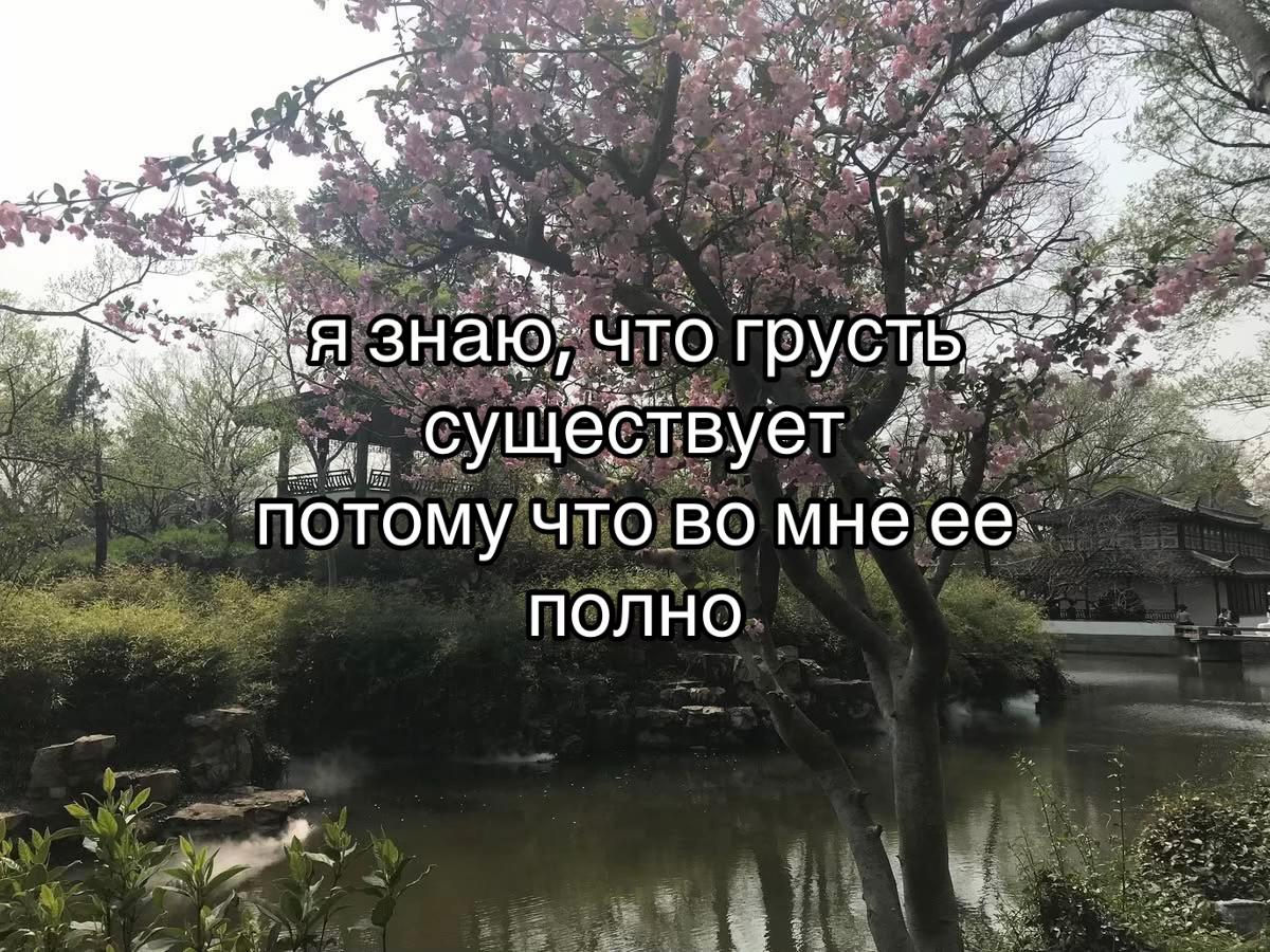 @лэйн