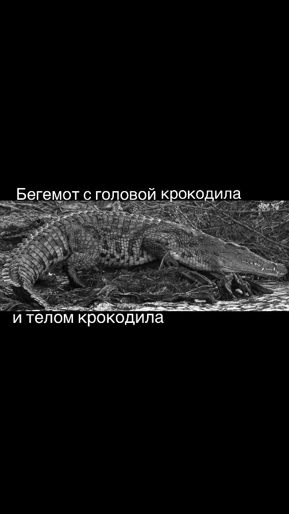 @KELIEv