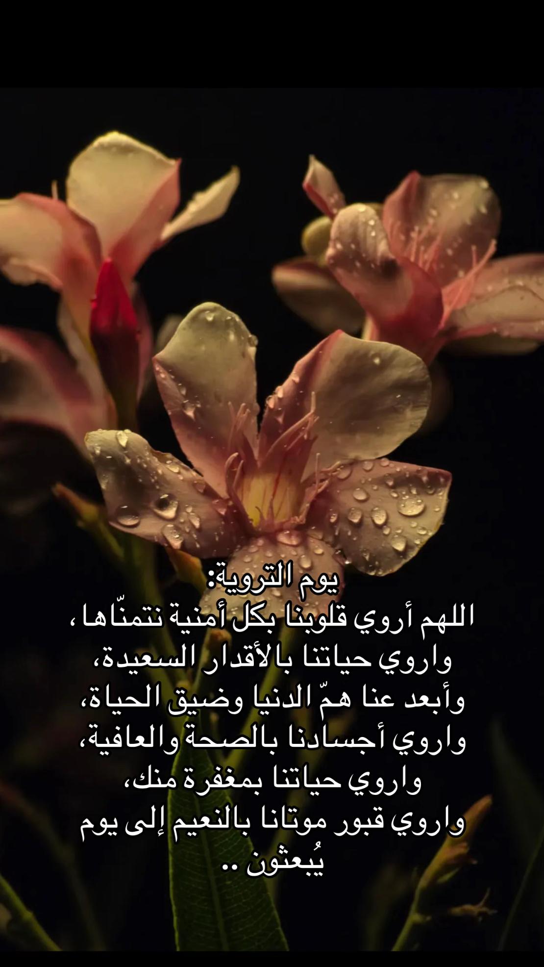 @FATIMAH