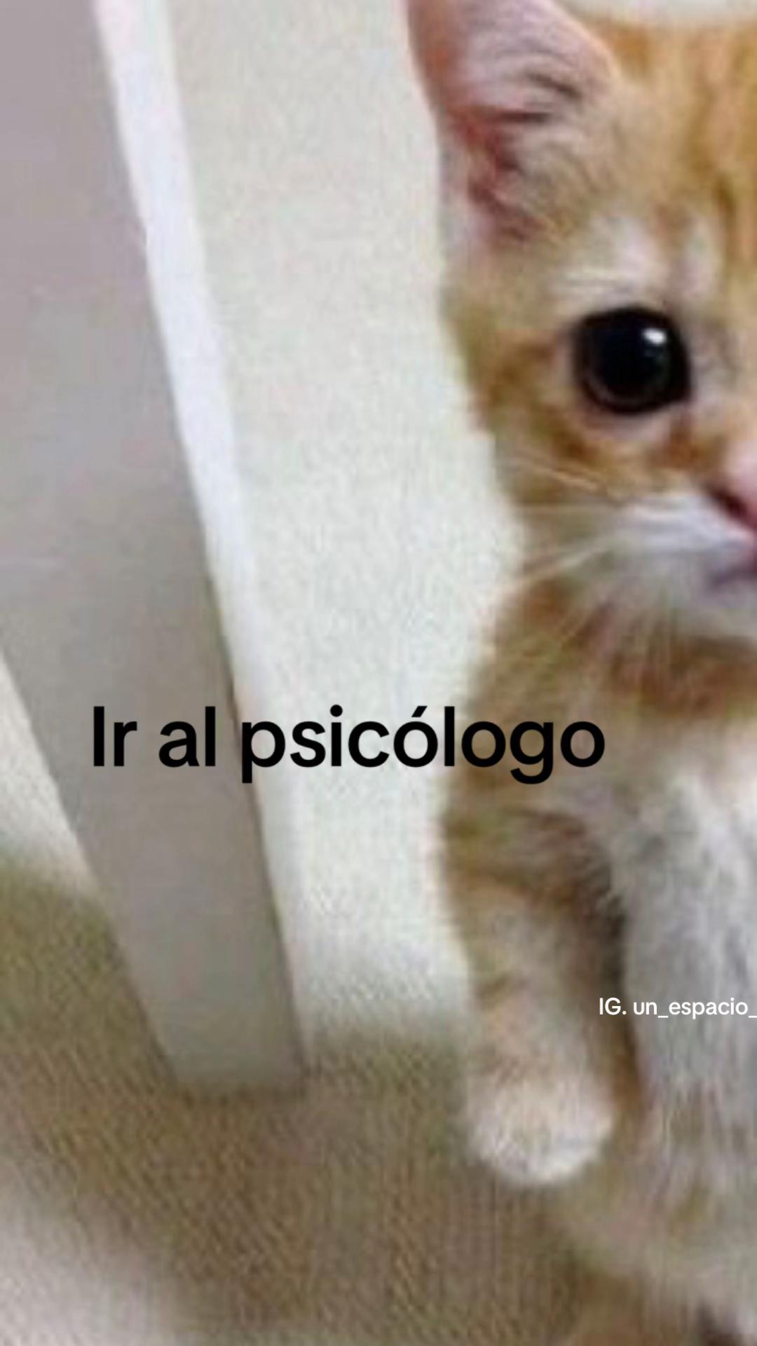 @Psic&oacute;loga Camila ✨