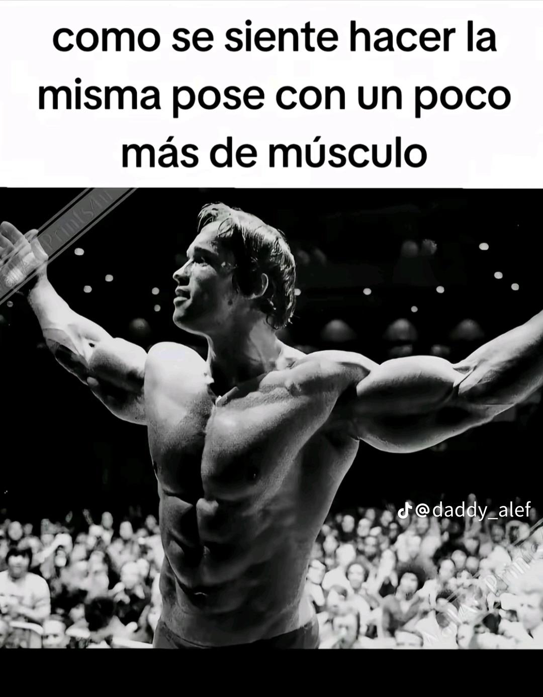 @elprofe