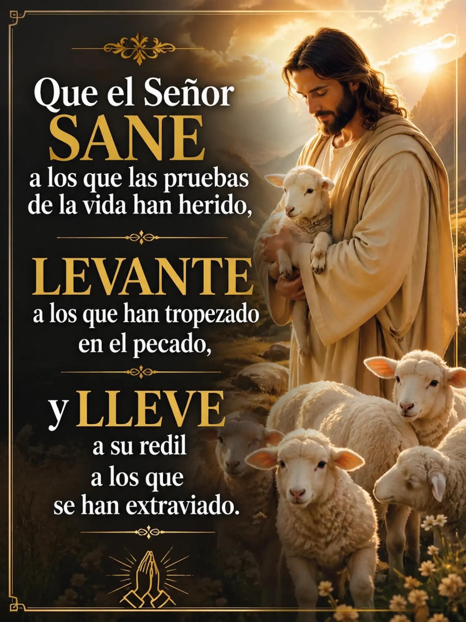 @Miracles