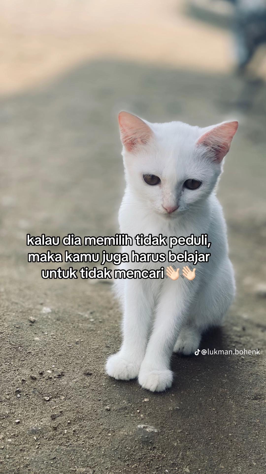 @Nindyy🌷