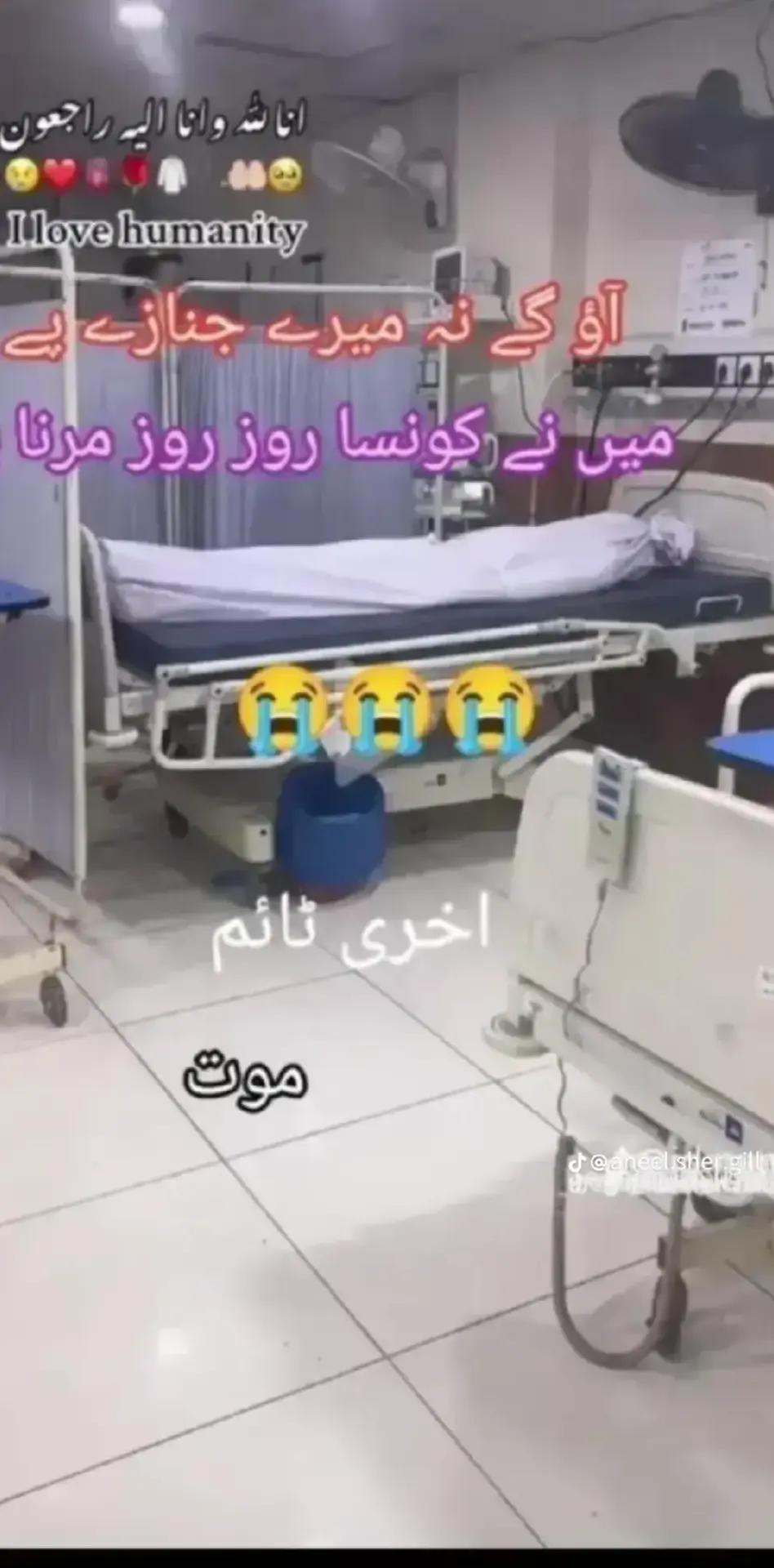 @🥰انم کی زندگی عرفان 🥰