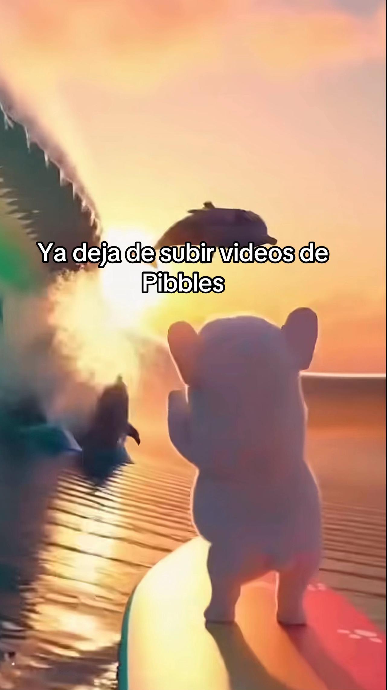 @️Lio(Pibble)