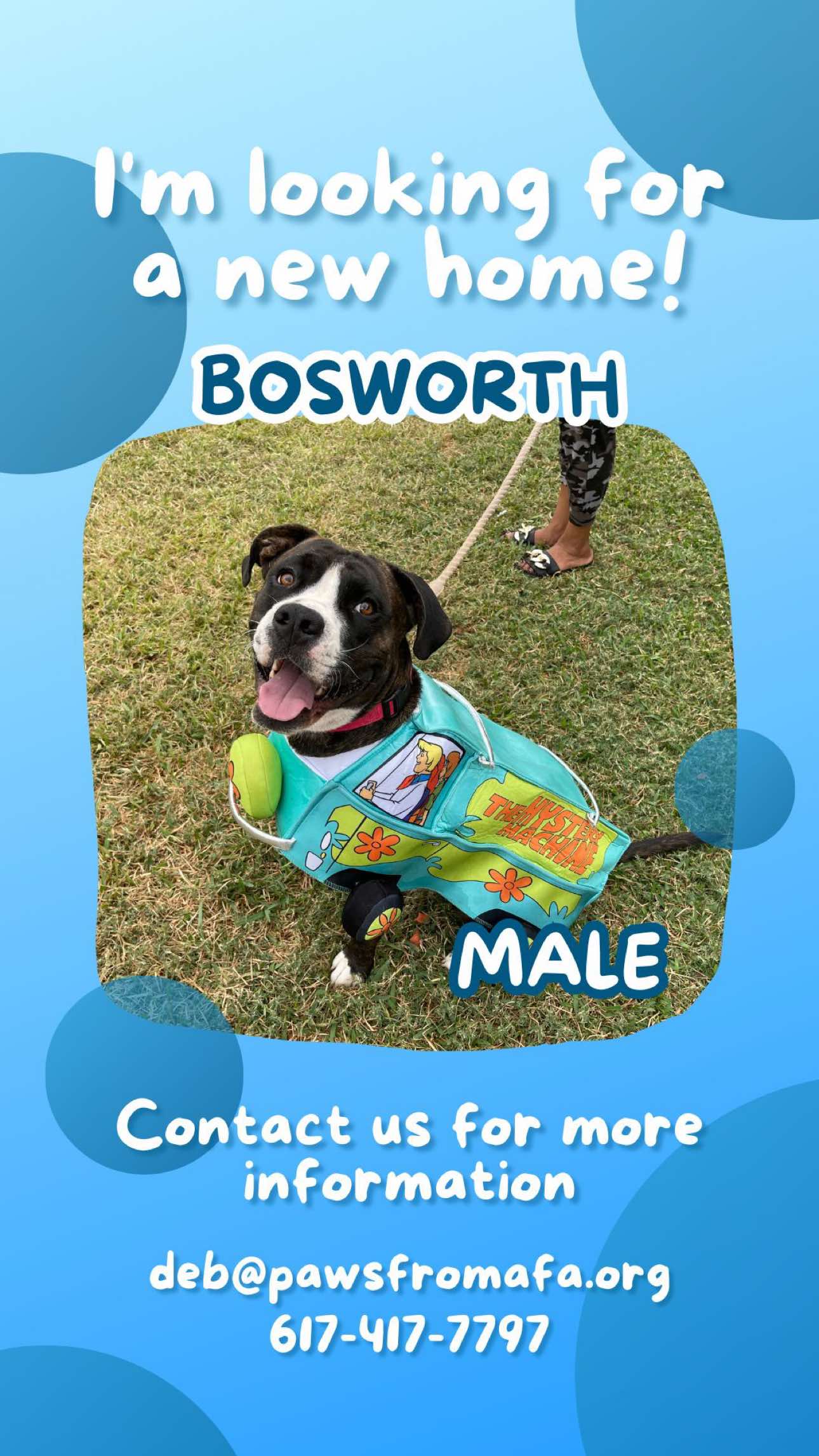 @Paws From Afar Rescue