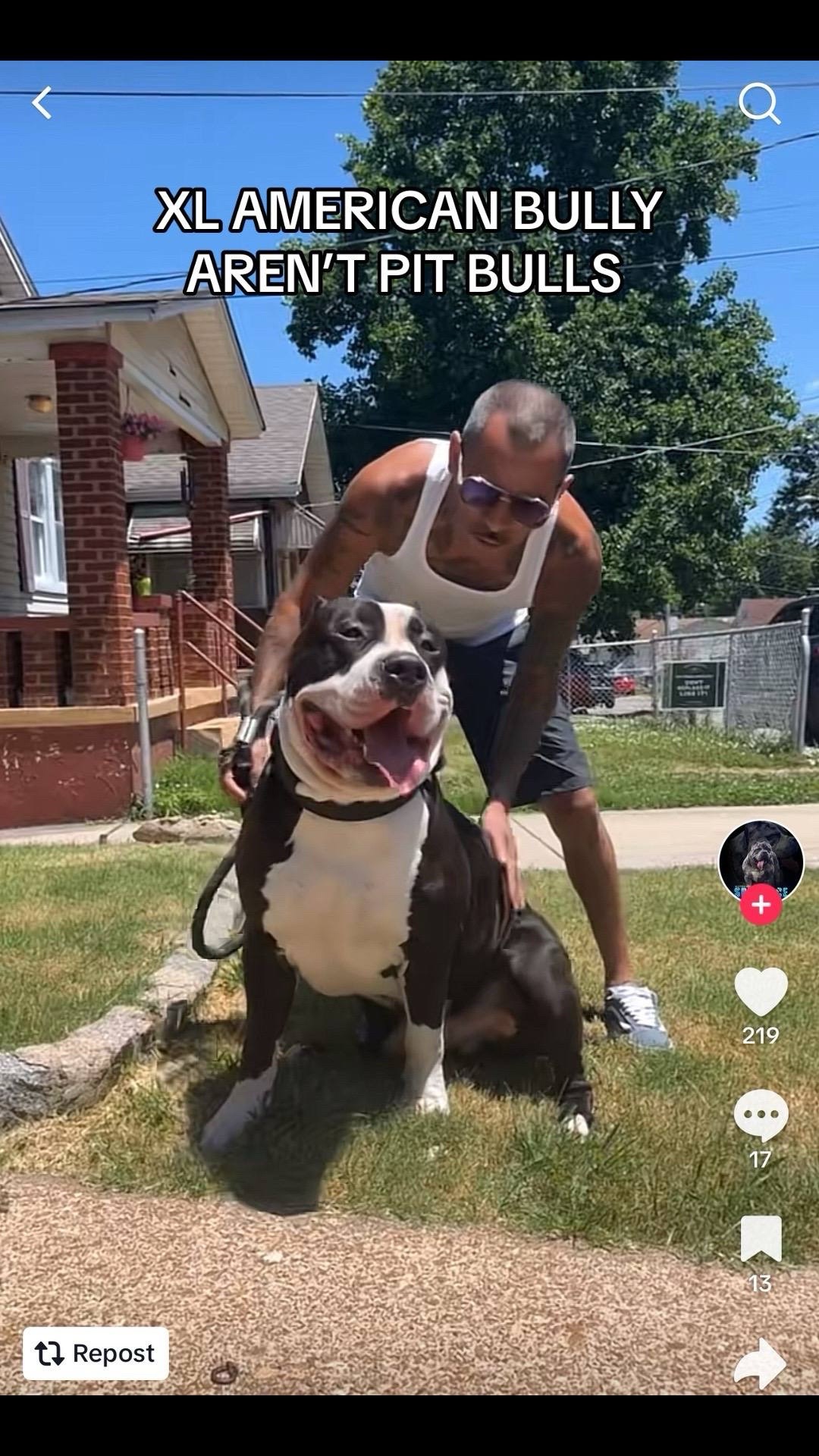 @OGMasterOfAllBulldogs
