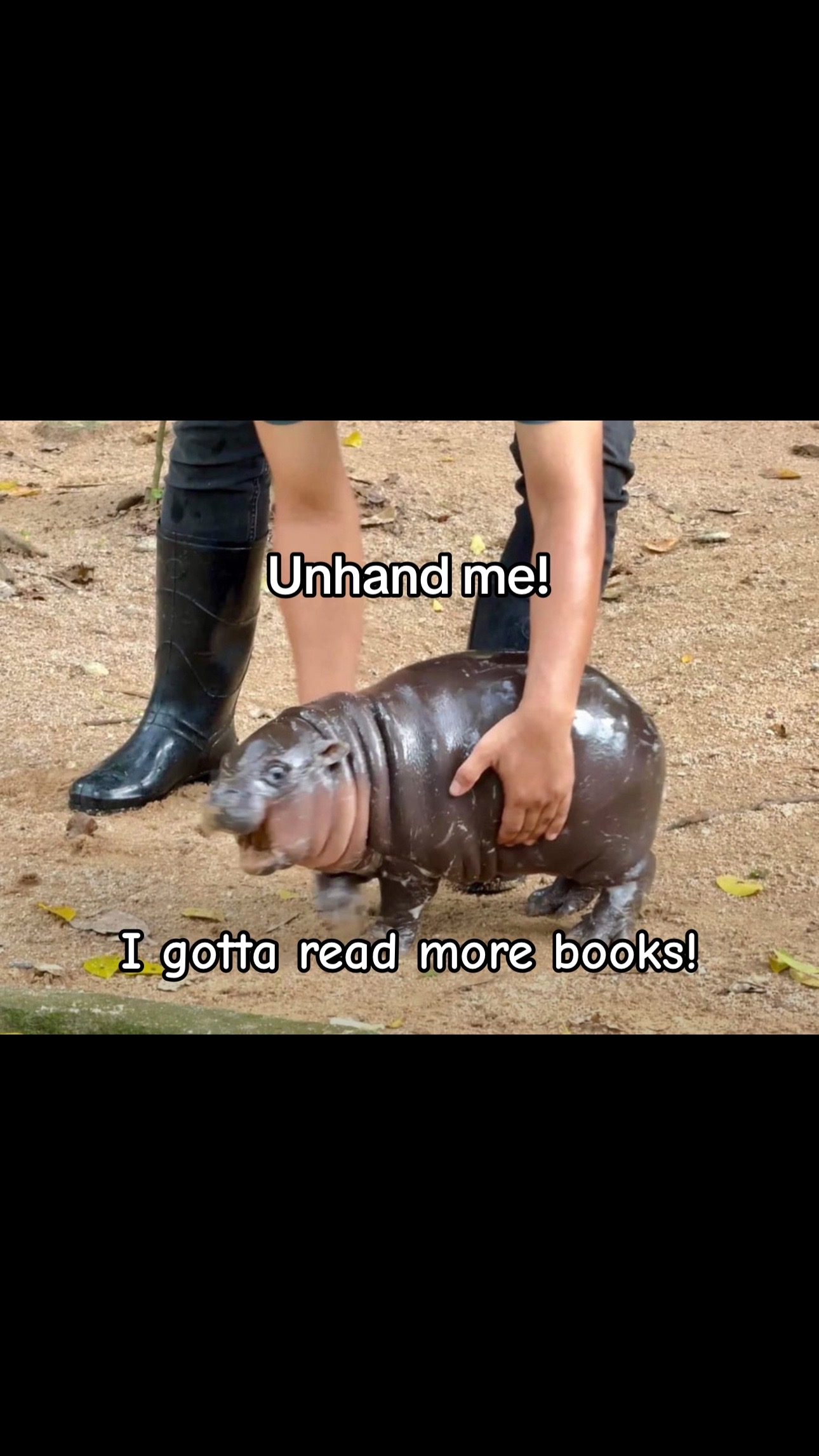 @MohawkBooksWoodbury
