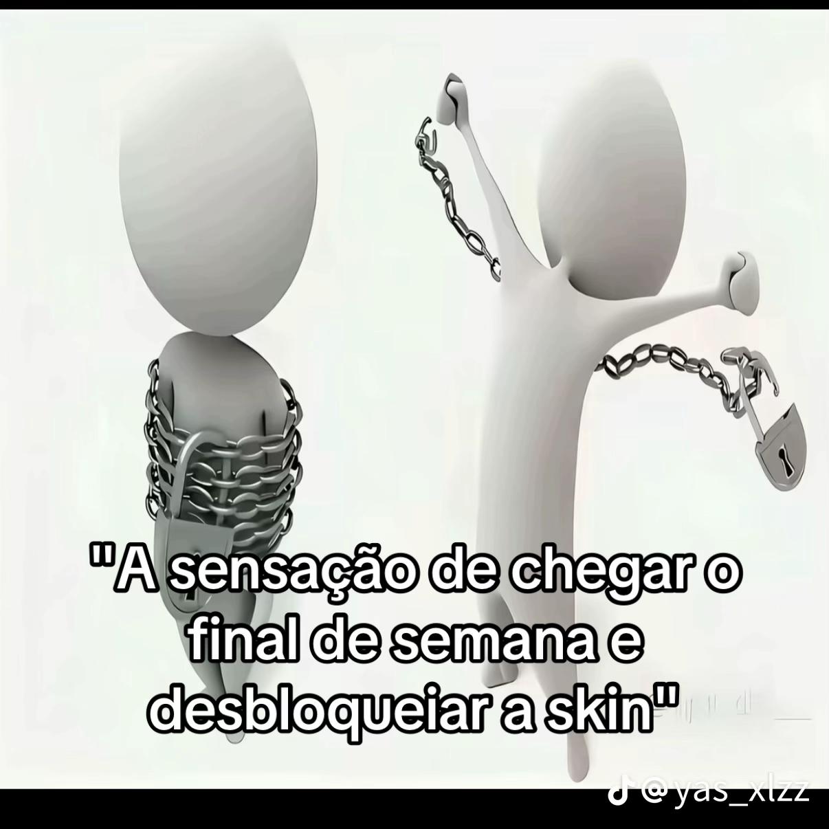 @piccinini_046