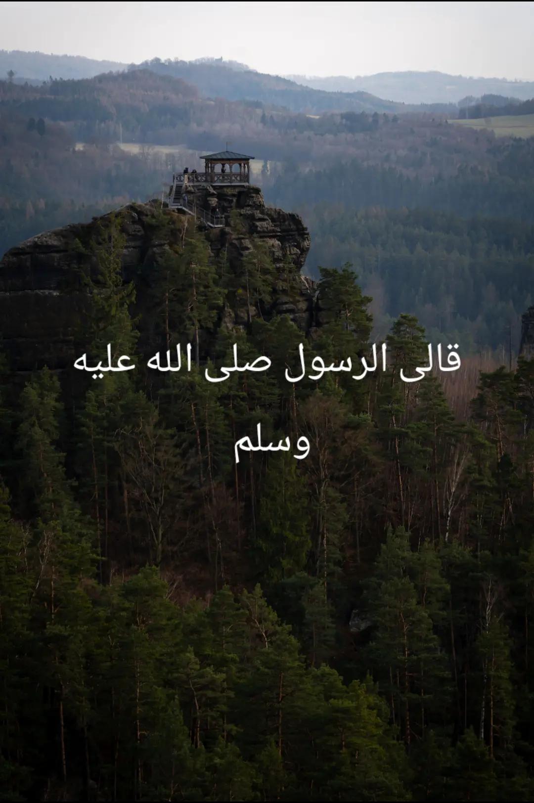 @القرآن الكريم