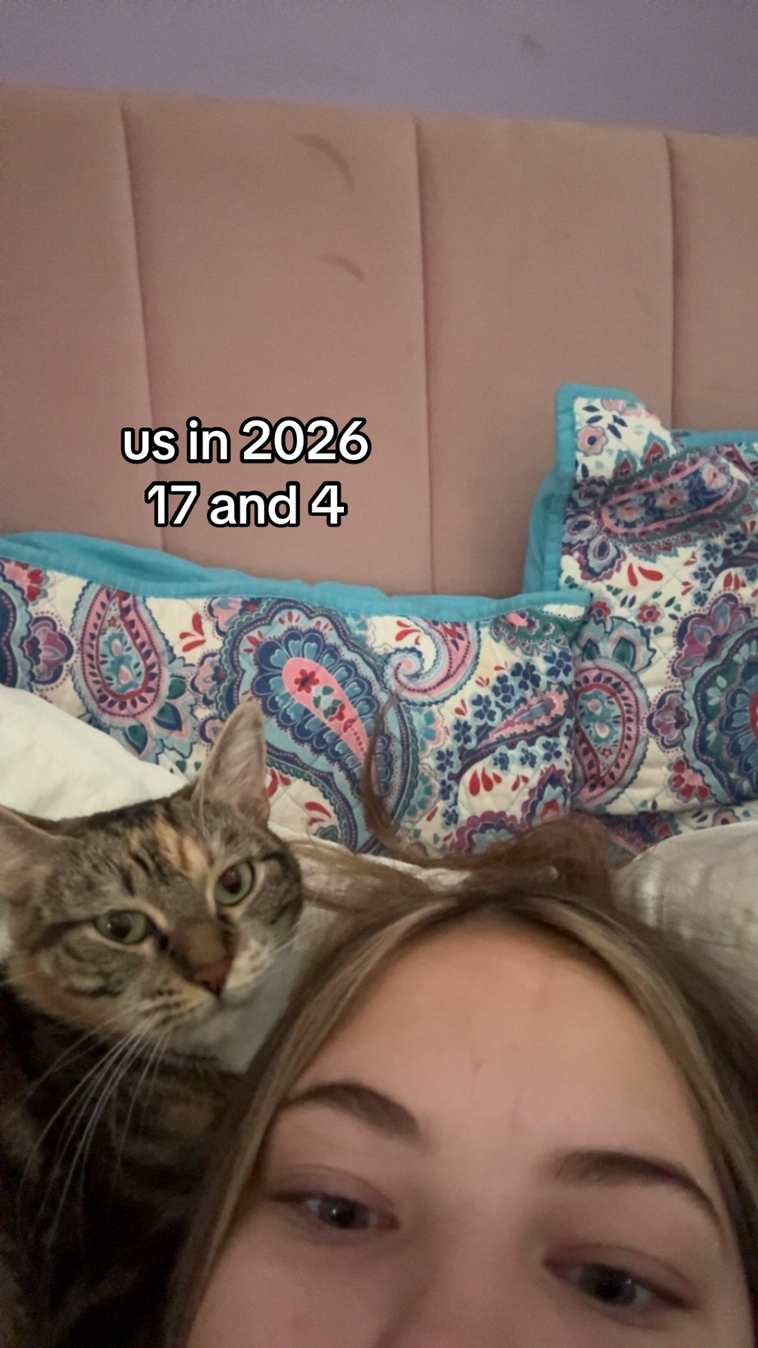 @bella