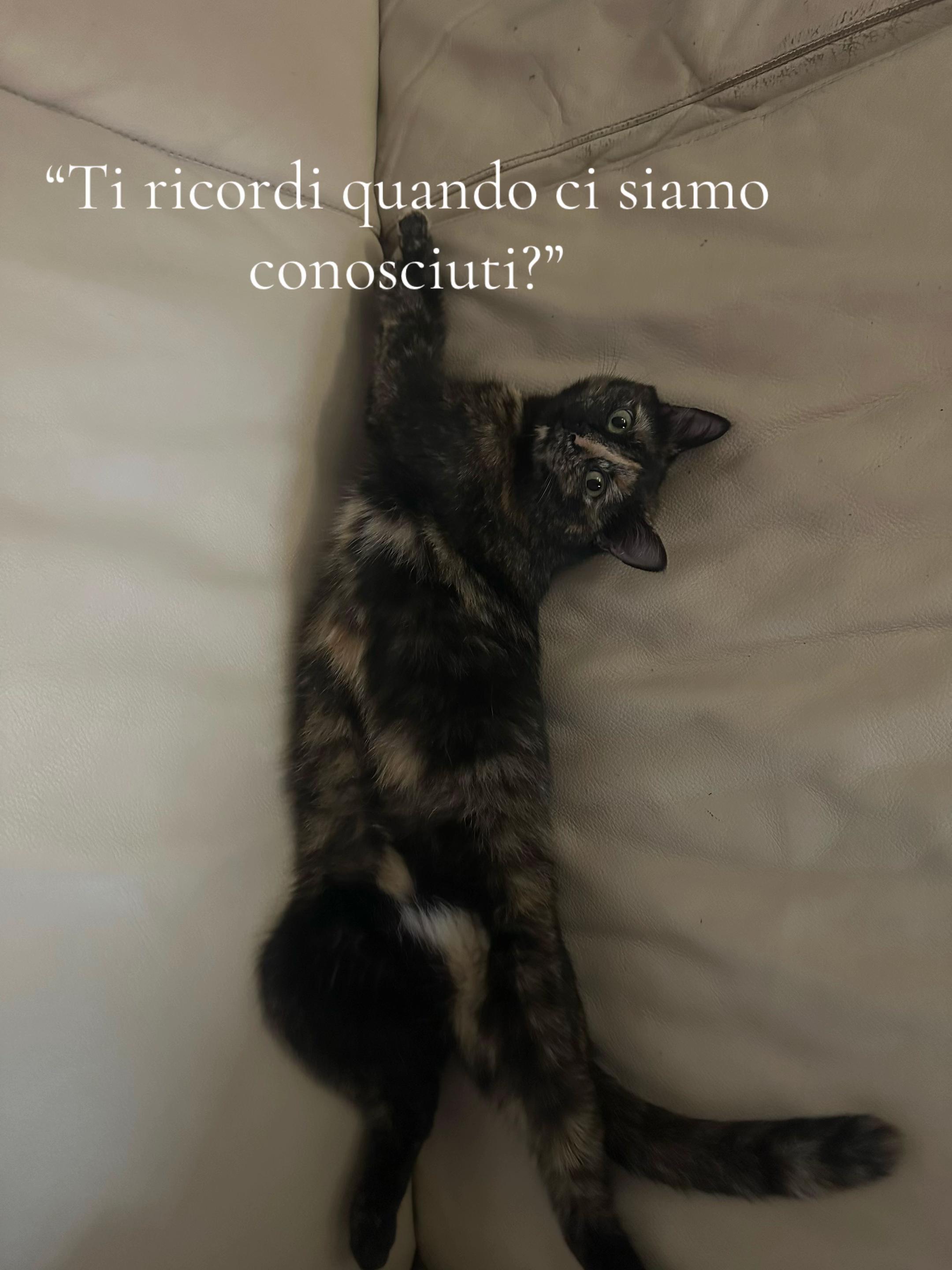 @🦋Sono Serena🦋