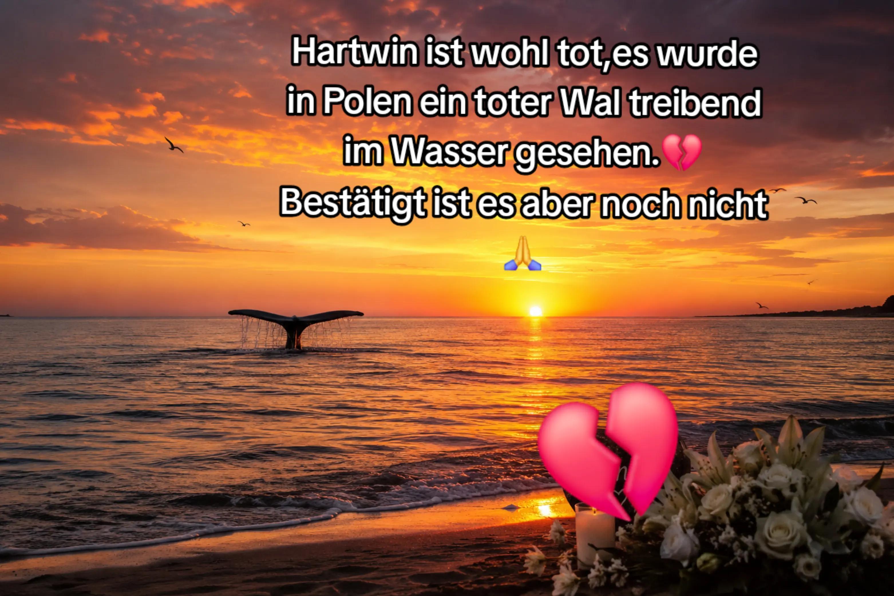 @🐳📚❤️DreamySusu❤️📚🐳