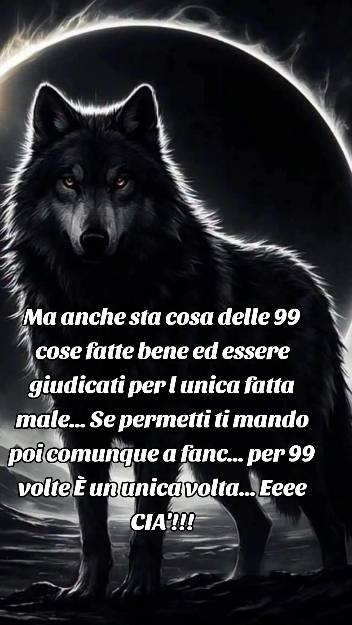 @🐺🗽Crazy Wolf.