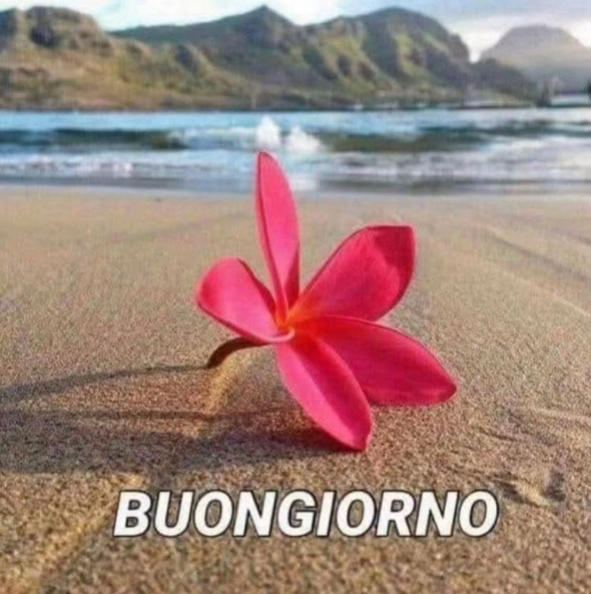 @rosariorizzolo578